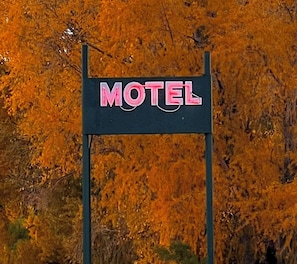 Overnatningsstedets område
