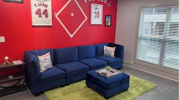 Smart TV, fireplace, books