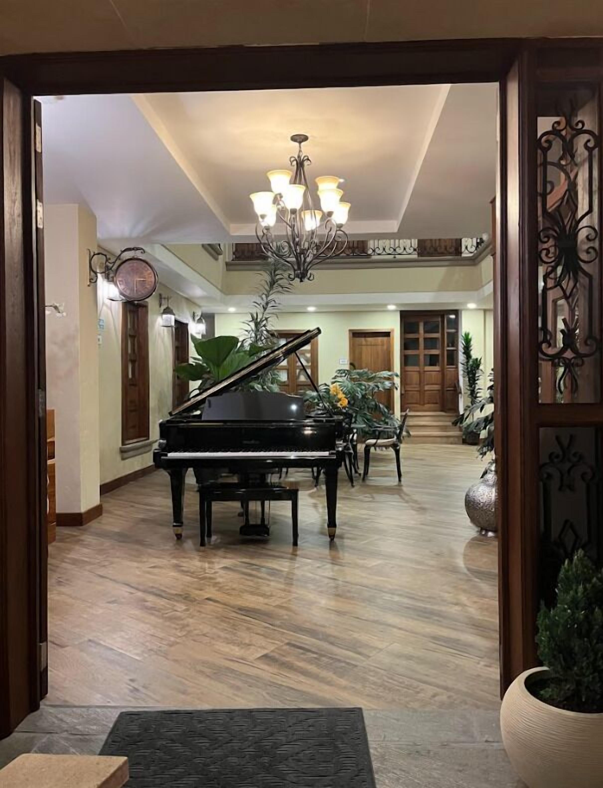 Un piano de cola en un espacio amplio y luminoso, con una araña, piso de madera y una planta grande.