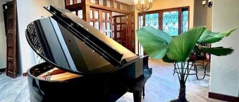 A grand piano in a spacious, well-lit room with a large window and a potted plant.