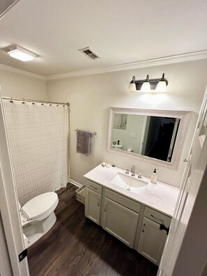 Features a clean bathroom with a toilet, shower, and vanity with a large mirror.