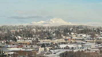 A town with buildings and a mountain in the background.