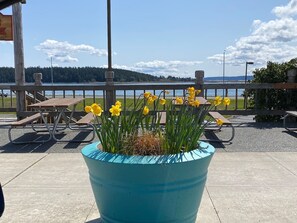 Outdoor dining - Cabin * Hot tub * Fire pit * View * Getaway! (Oak Harbor)