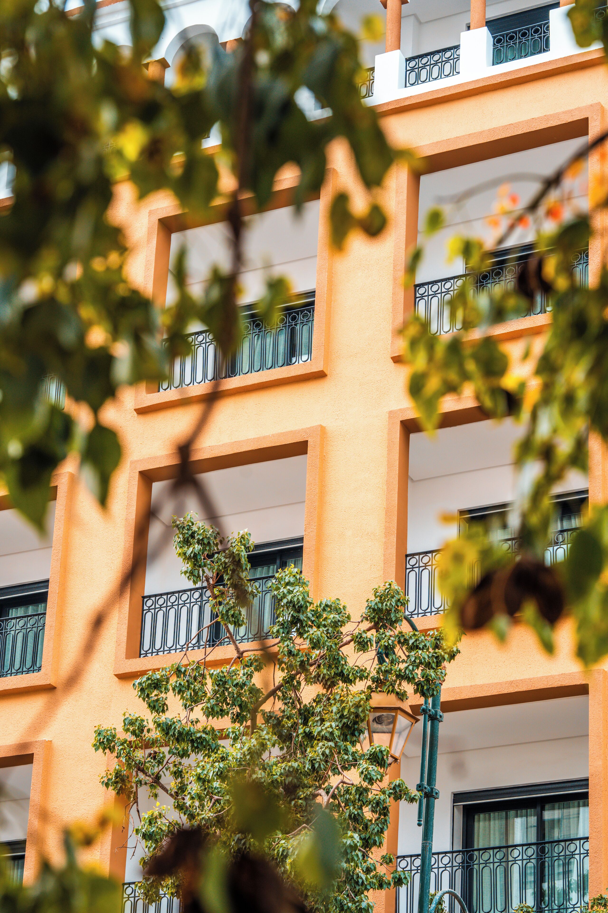 Un edificio de varios pisos con balcones y un árbol en primer plano.