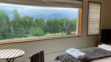 Apartment, 3 Bedrooms, Mountain View