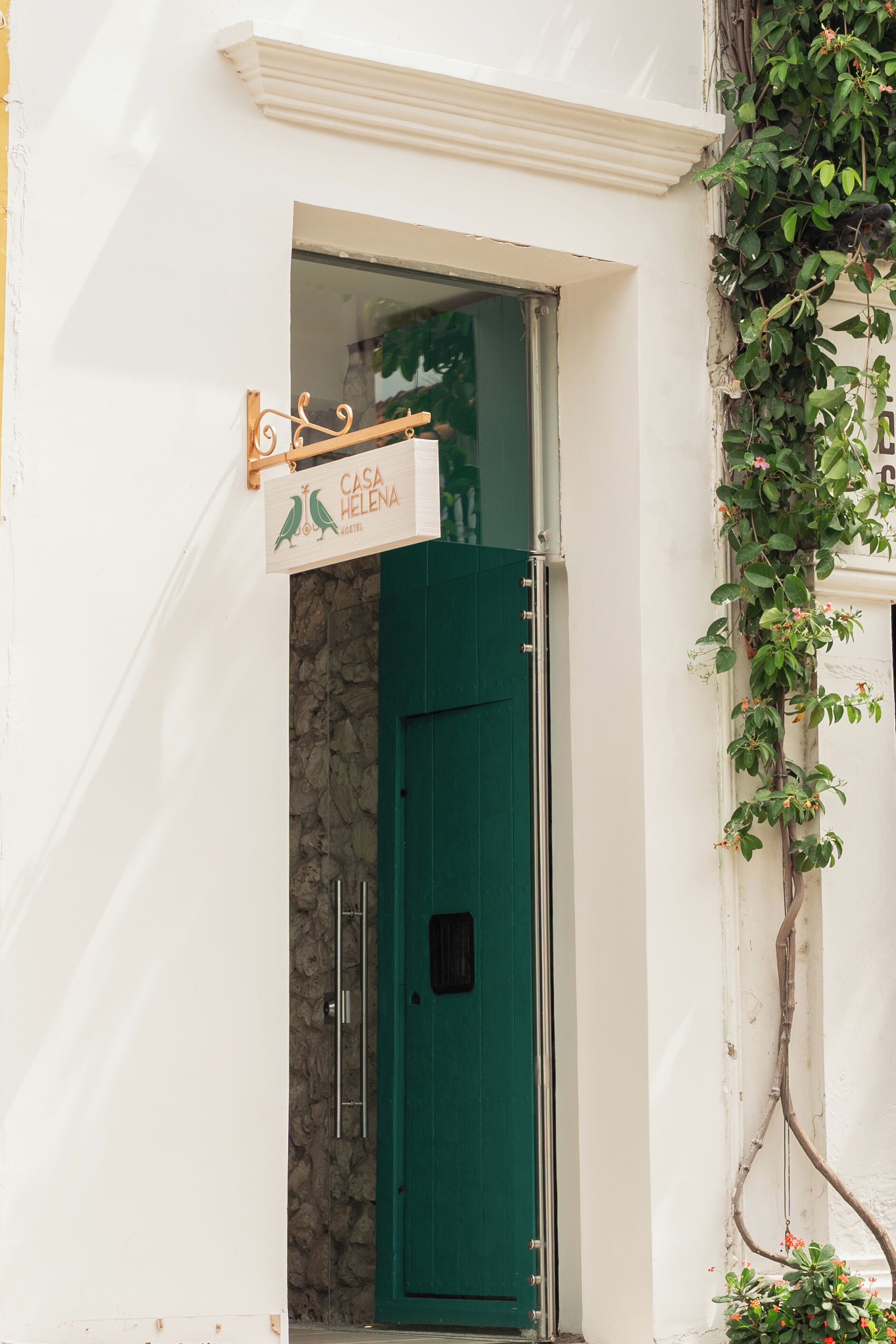 Foto - Casa Helena Hostel