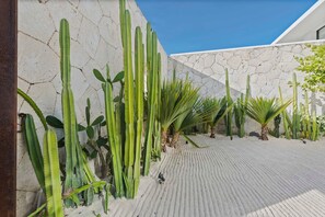 5 habitaciones y acceso a internet