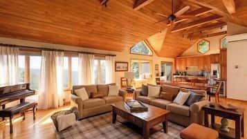 Smart TV, fireplace, video games, DVD player