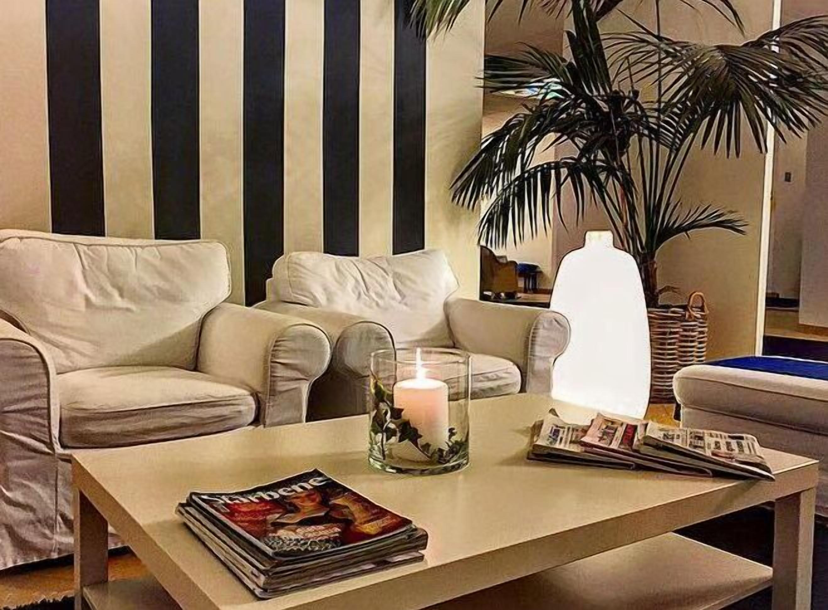 A living room with a sofa, a coffee table with magazines and a candle, and a large plant.