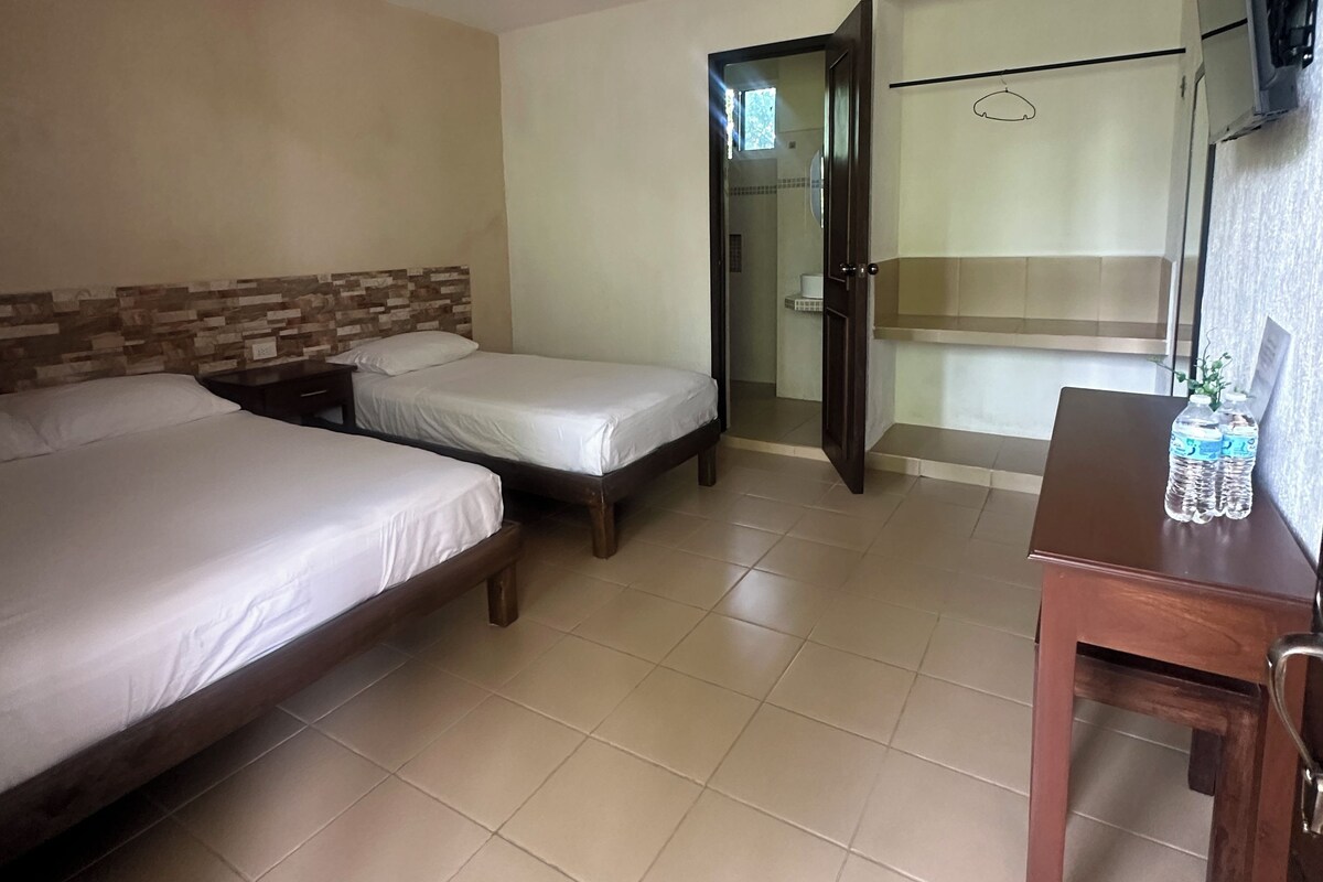 A hotel room with two single beds, a ceiling fan, a wooden nightstand, a small table with a bottle of water, and a TV mounted on the wall.