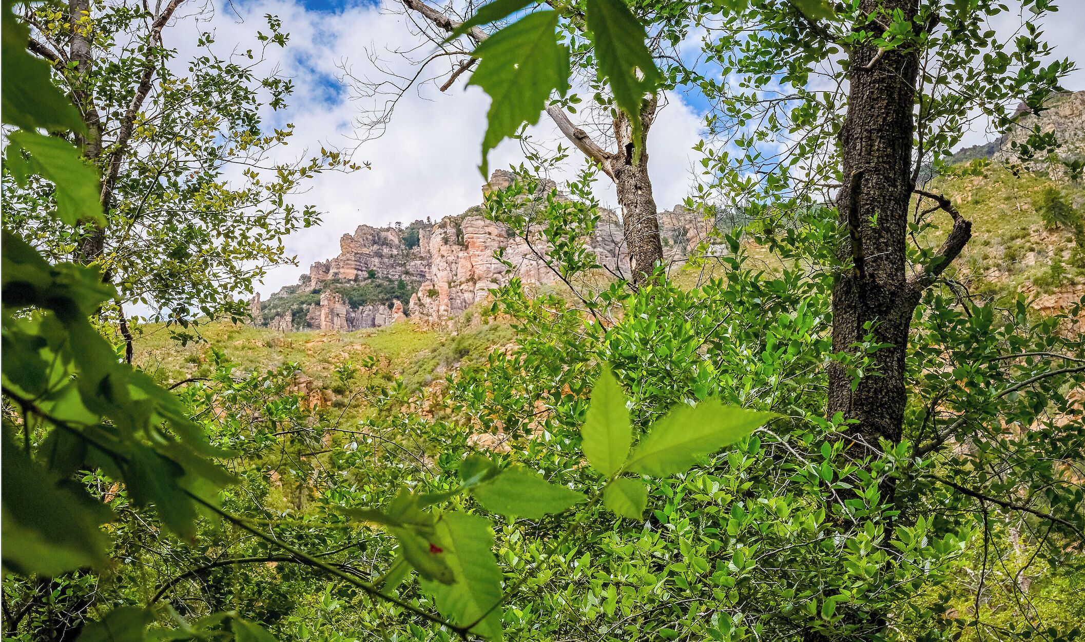 Un paysage naturel caractérisé par une formation rocheuse imposante en arrière-plan, entourée d’une végétation luxuriante.