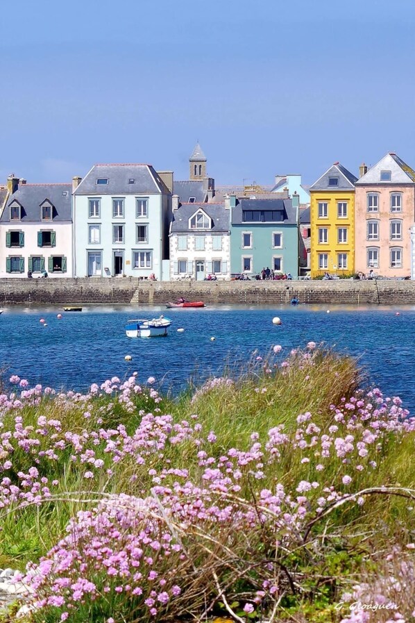 A waterfront view with colorful buildings, a boat on the water, and pink flowers in the foreground. - Atypical studio with all comforts (Plouhinec)