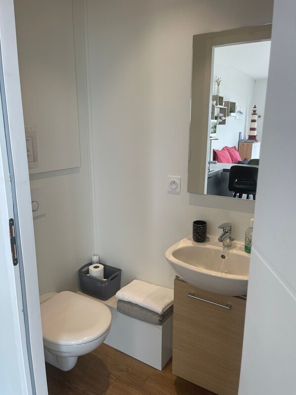A compact bathroom with a toilet, sink, and storage cabinet. - Unique studio with all the amenities (Plouhinec)