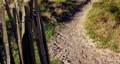 Atypical studio with all comforts