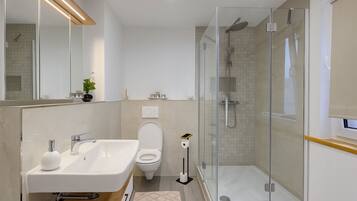 Shower, towels, soap, toilet paper