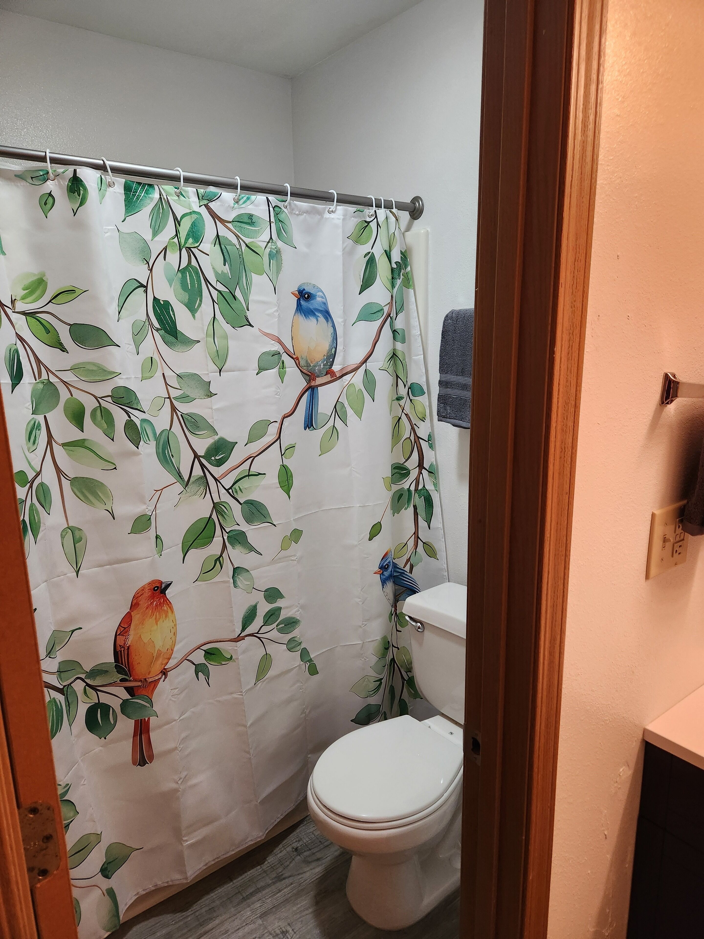 A bathroom with a shower curtain featuring bird illustrations, a white toilet, and a wooden door frame.
