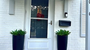 Una puerta blanca con un panel de vidrio, dos plantas en macetas, un felpudo y un buzón.
