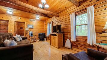 Smart TV, chimenea y reproductor de DVD