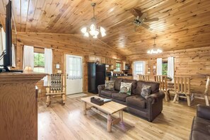 TV connectée, cheminée, lecteur de DVD, livres