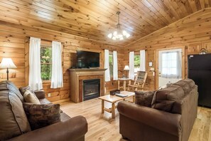 TV connectée, cheminée, lecteur de DVD, livres