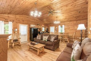 Smart TV, fireplace, DVD player, video library