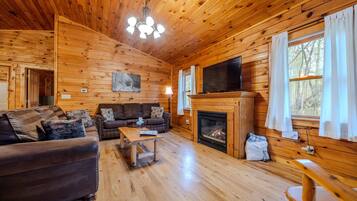 Smart TV, chimenea, reproductor de DVD y videoteca