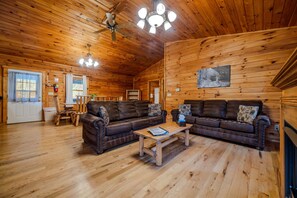Smart TV, fireplace, DVD player, video library