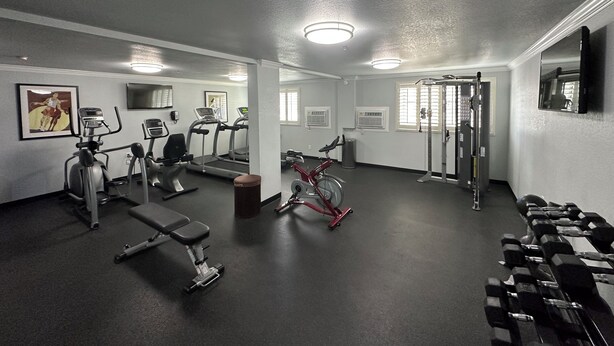 A gym with treadmills, a stationary bike, a bench, and dumbbells.