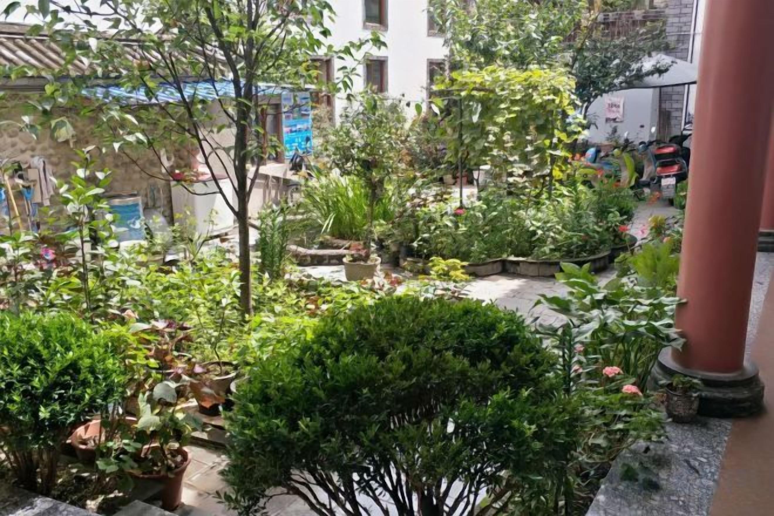 A courtyard with potted plants, a red column, and a pathway.