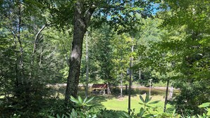 A lush green landscape with a wooden deck, a small building with a red roof, and dense foliage. - Charming riverfront home with beautiful views, hot tub and game room. Fishing! (Elkins)