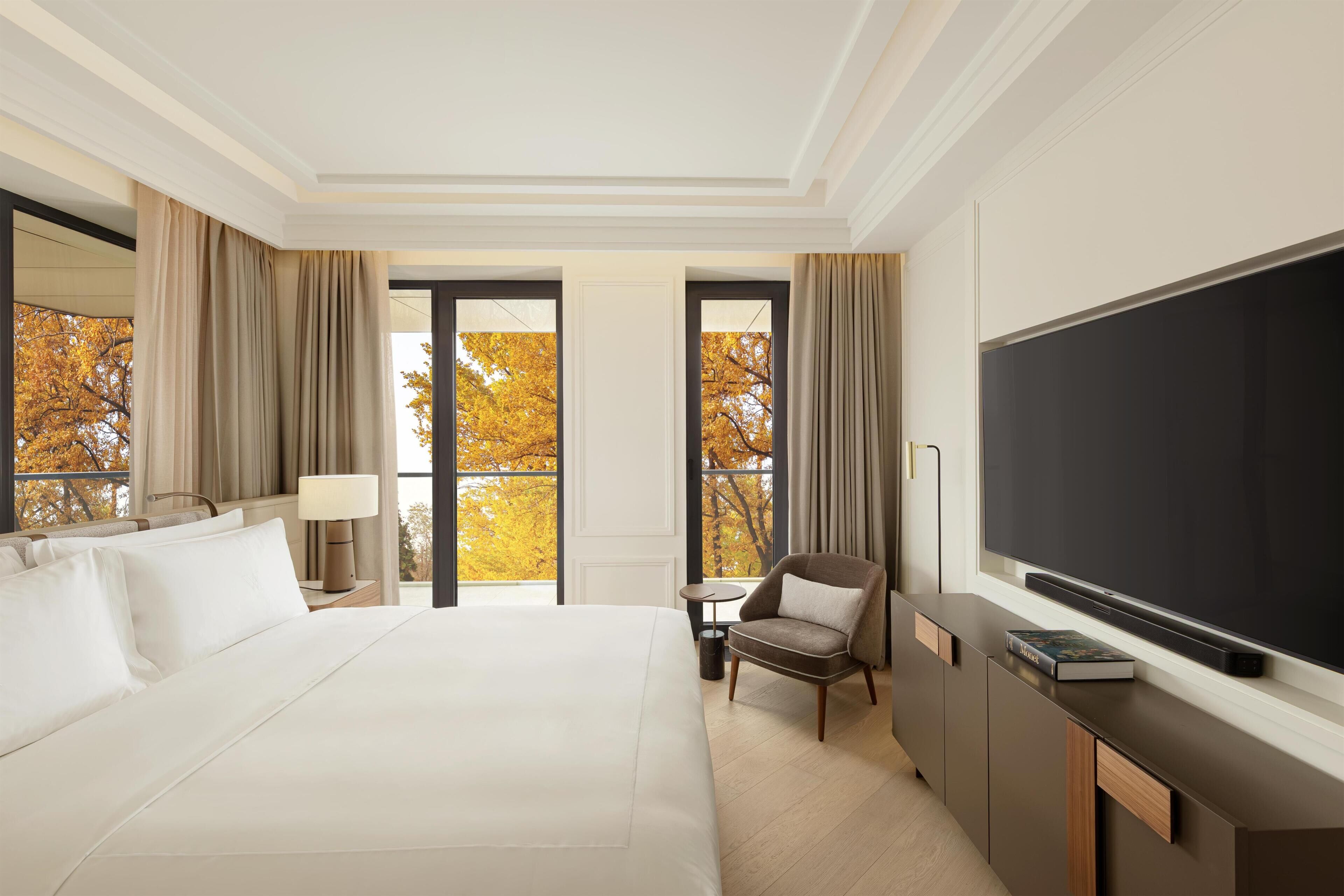 Suite, 1 cama King size (Diplomat Suite) | Wifi gratis 