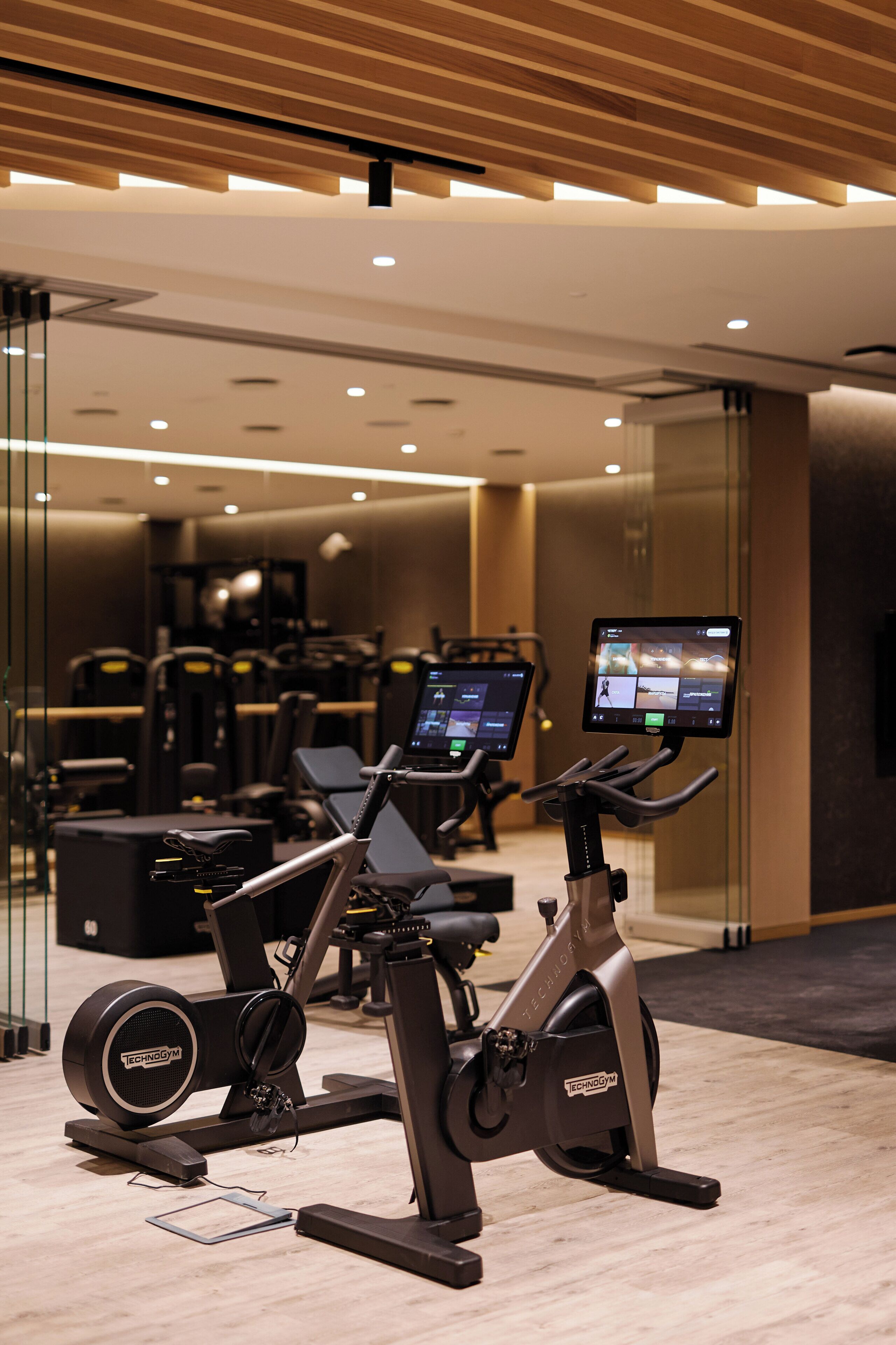 Gimnasio