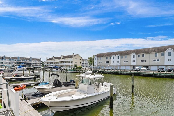 Marina