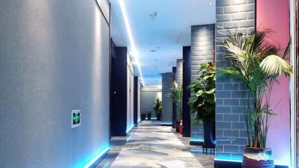 A modern hotel corridor with a patterned carpet, blue LED lighting, and potted plants. - Urumqi Sundan Yakaifu Theme Hotel (Urumqi)