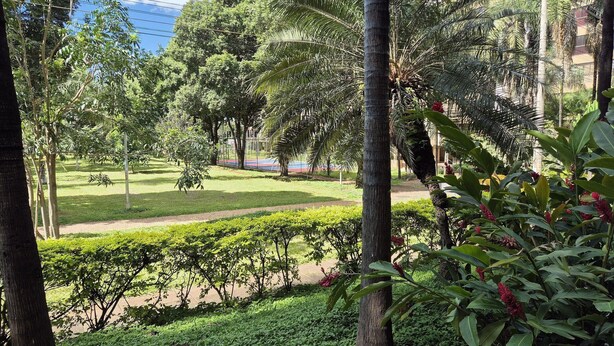 Un exuberante jardín con diversos árboles y arbustos, un sendero pavimentado y una vista distante de un edificio.