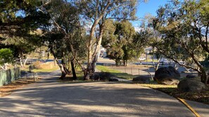 A paved pathway with trees and rocks, leading to a parking area with cars. - Alpine Mountain View 3 - Jindabyne (Jindabyne)