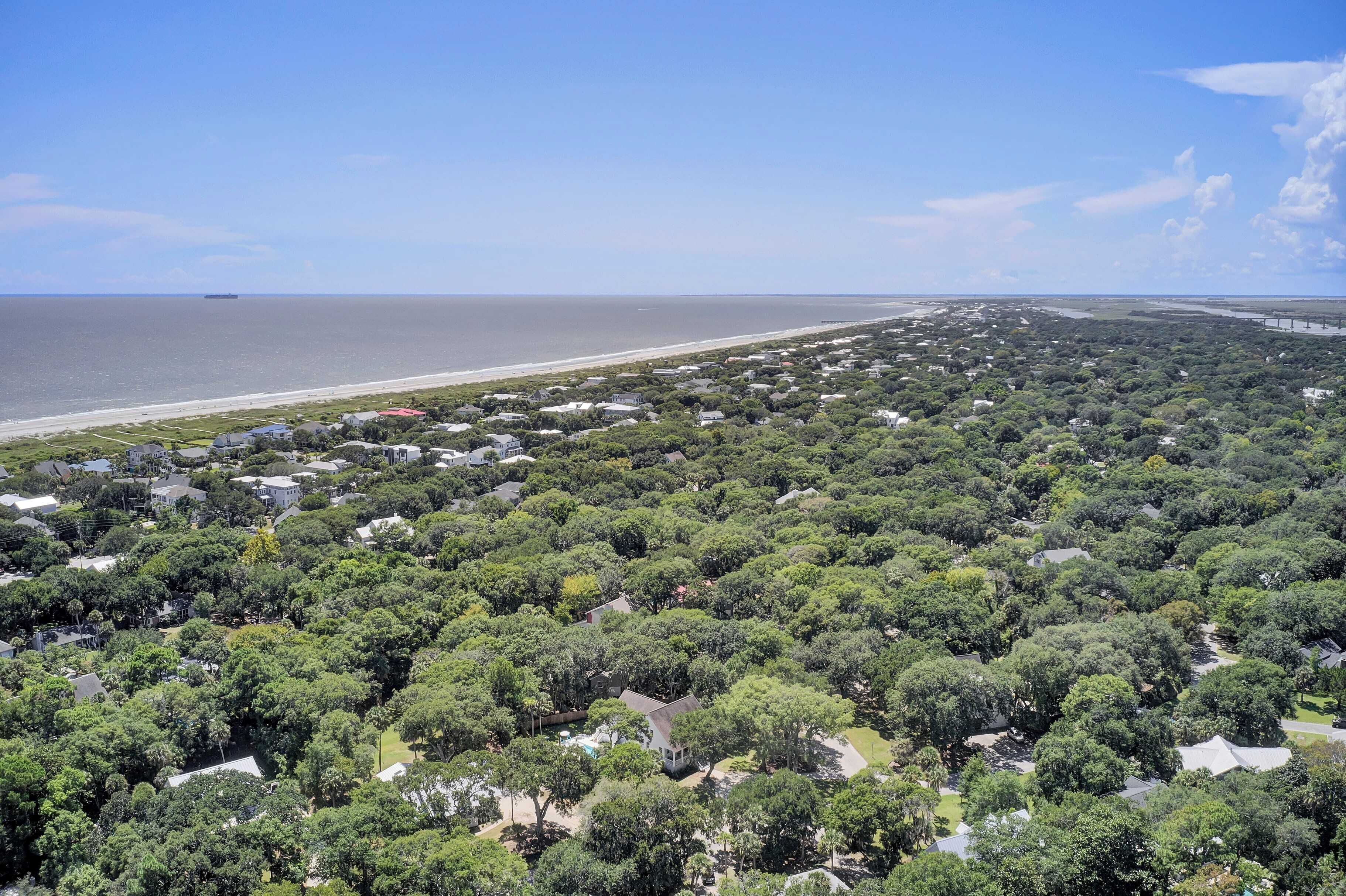 An aerial view of a coastal residential area with houses surrounded by dense greenery, a beach, and a bridge in the distance.