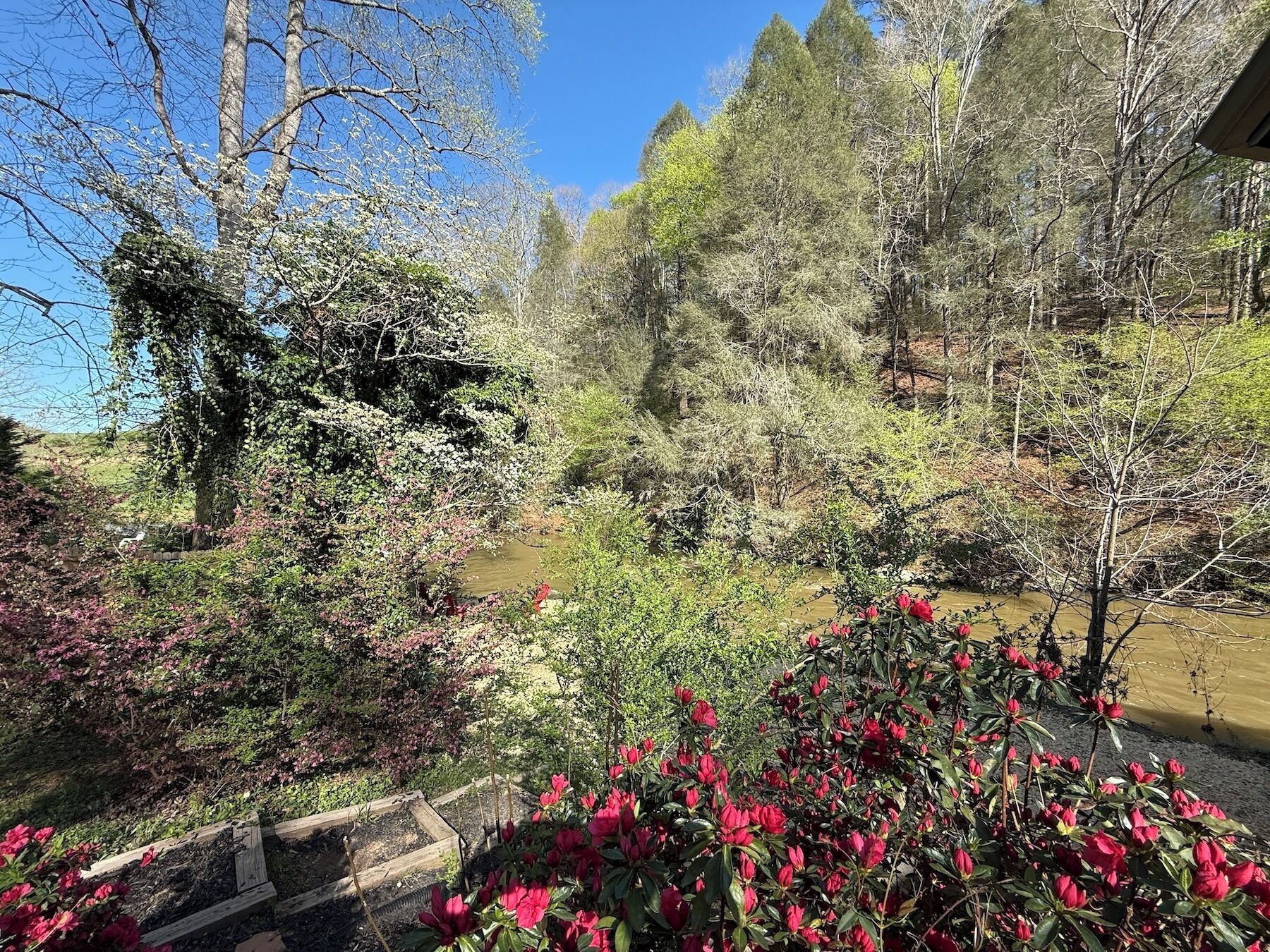 A garden with a variety of plants and trees, a small stream, and a wooden fence.