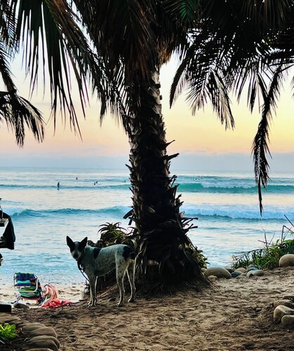 T-Street 3 Bed Beach Bungalow w/ Pool 