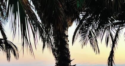 T-Street 3 Bed Beach Bungalow w/ Pool