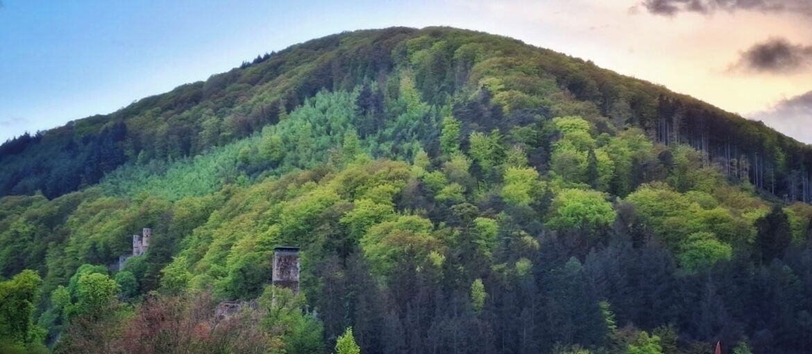 A mountain with dense forest and a small structure on its slope.