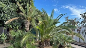 Unclassified image, 2 of 19, button - Esmeralda Djerba Casino (Mezraya)