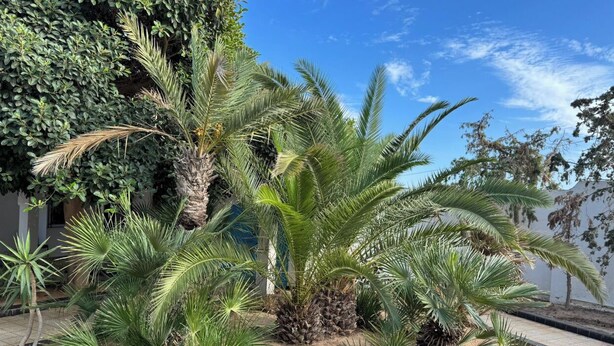 Jardines del alojamiento