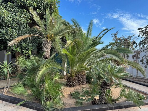 Esmeralda Djerba Casino