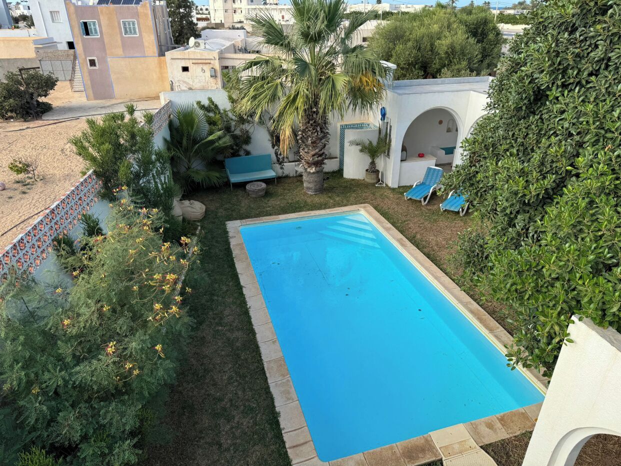 Una piscina rectangular con borde azul, rodeada de césped y diversas plantas.