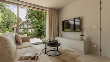 Smart TV, video library, stereo