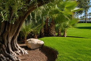 Un jardin aménagé avec un grand arbre, des palmiers et un rocher.