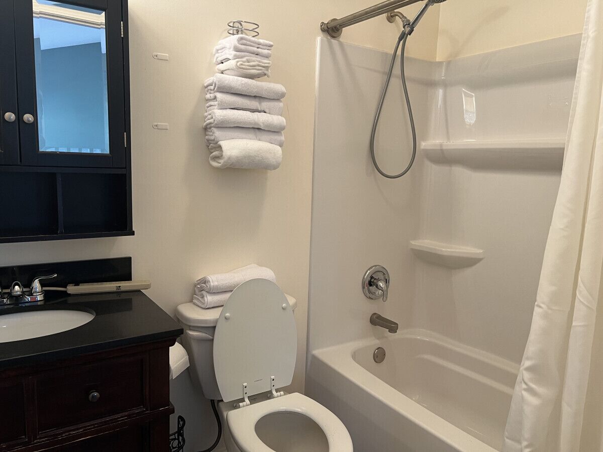 A bathroom with a toilet, sink, and shower.