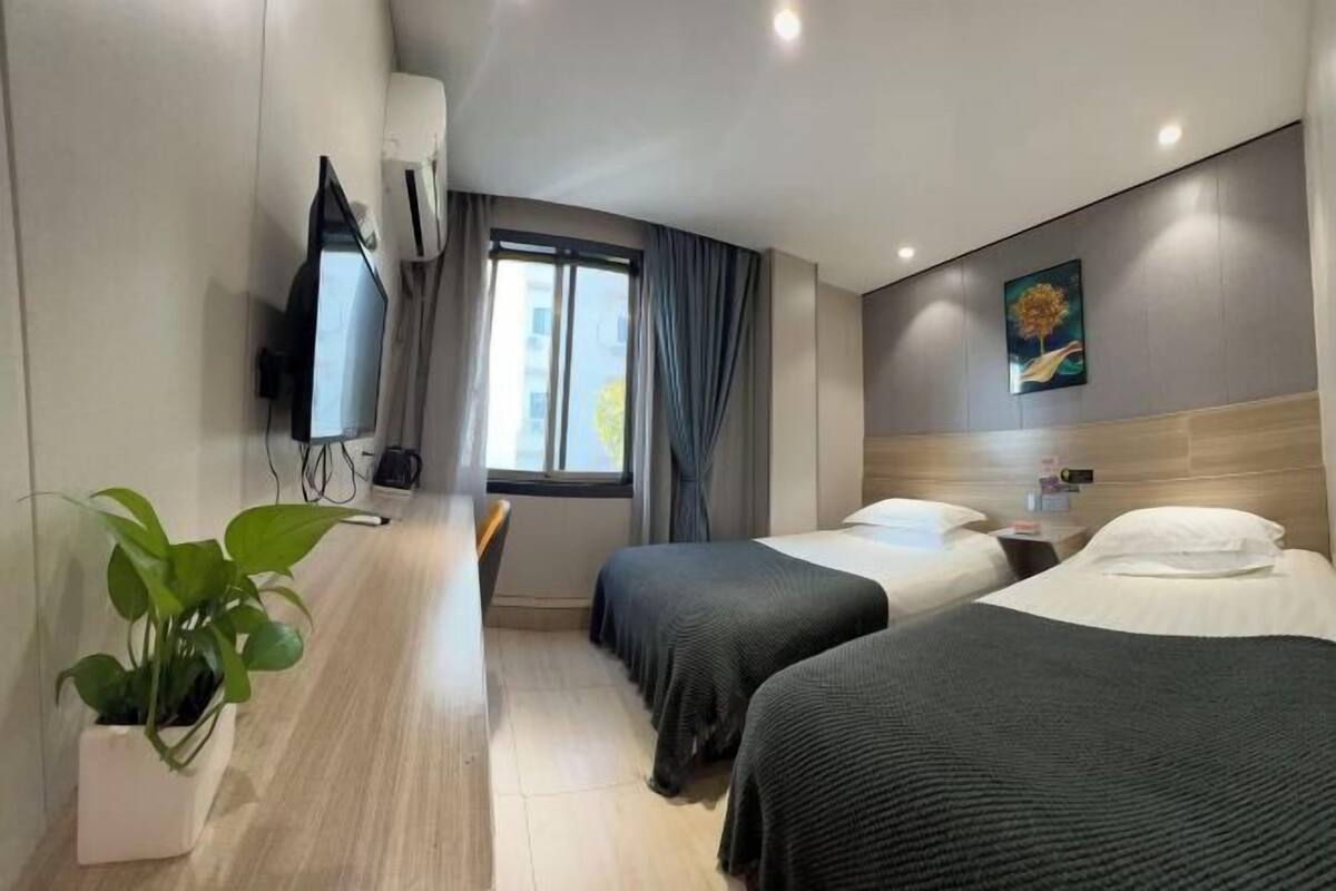 Une chambre d’hôtel avec deux lits, une télévision, une plante et une fenêtre avec des rideaux.