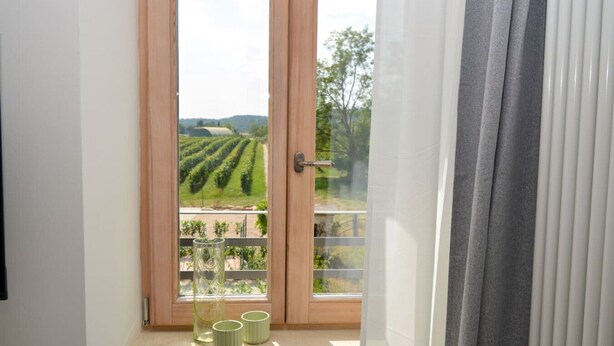 Une fenêtre donnant sur un vignoble, une porte en bois et un rideau.